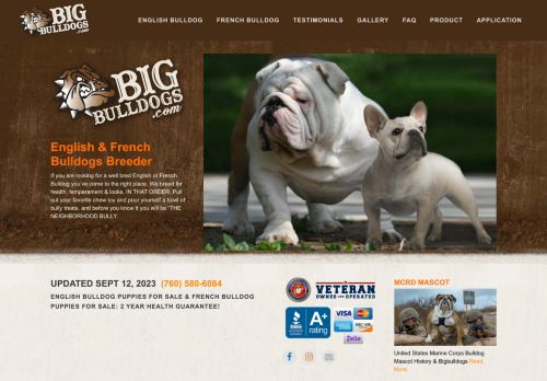 Bigbulldogs.com inc